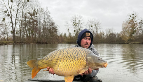 A carp from Le Repaire, Jan 2026