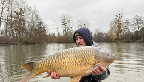 A carp from Le Repaire, Jan 2026