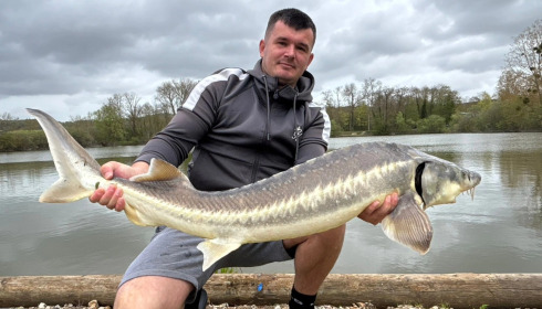 A carp from Duquesne, Apr 2026