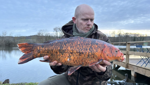 A carp from Duquesne, Feb 2026