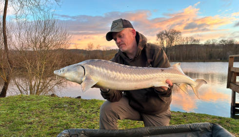 A carp from Duquesne, Feb 2026