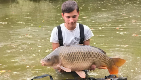 A carp from Zentelles, Dec 2025