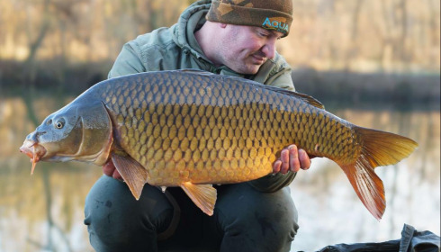 A carp from Zentelles, Dec 2025