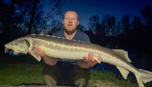 A 31 lb carp from Zentelles, Andy, Apr 2026