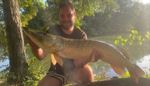 A carp from Zentelles, Dec 2025