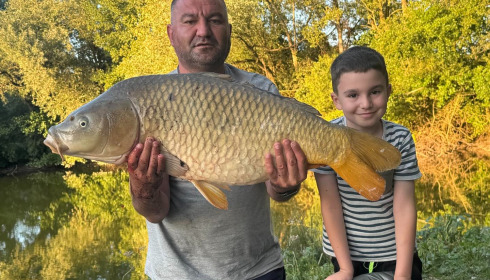 A carp from Zentelles, Dec 2025