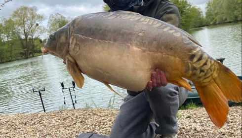 A carp from Zentelles, Dec 2025
