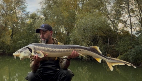 A carp from Zentelles, Dec 2025