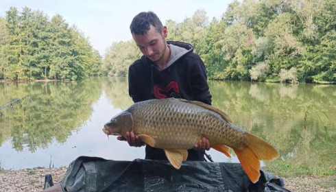 A carp from Zentelles, Dec 2025