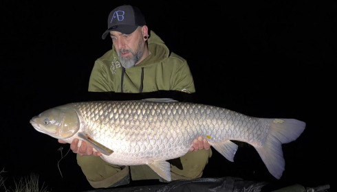 A carp from Zentelles, Dec 2025