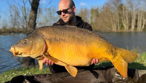 A carp from Zentelles, Dec 2025