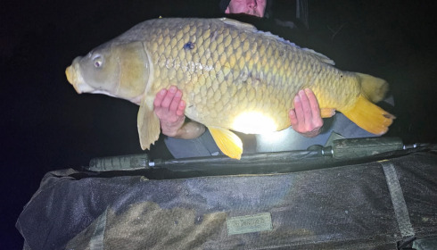 A carp from Zentelles, Dec 2025