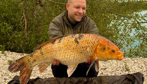 A carp from Zentelles, Dec 2025