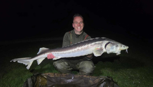 A carp from Zentelles, Dec 2025
