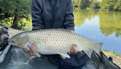 A carp from Zentelles, Dec 2025