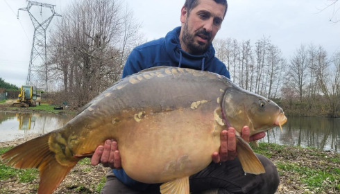 A carp from Zentelles, Dec 2025