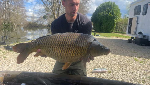 A carp from Zentelles, Dec 2025