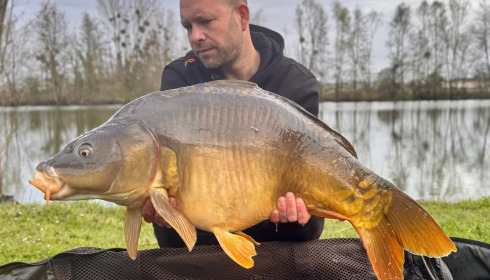A carp from Zentelles, Dec 2025