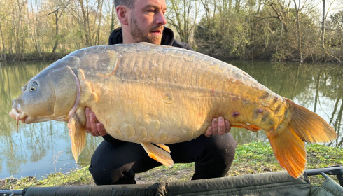 A carp from Zentelles, Mar 2026