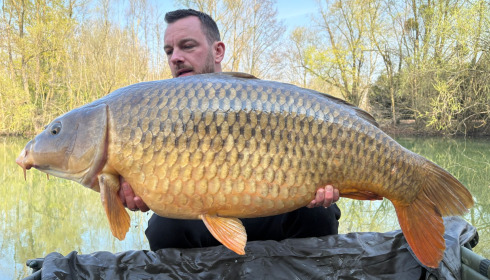 A carp from Zentelles, Mar 2026