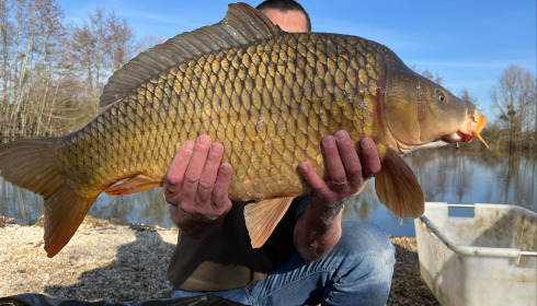 A carp from Zentelles, Dec 2025