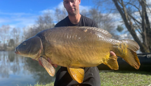 A carp from Zentelles, Dec 2025