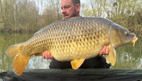 A carp from Zentelles, Mar 2026