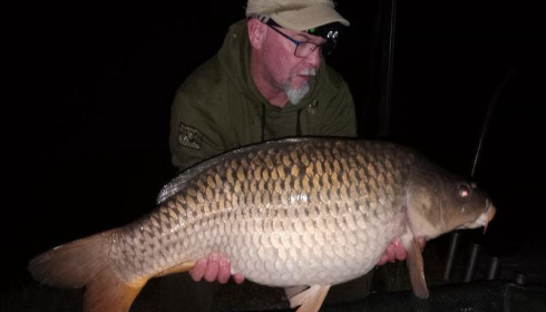 A carp from Zentelles, Apr 2026