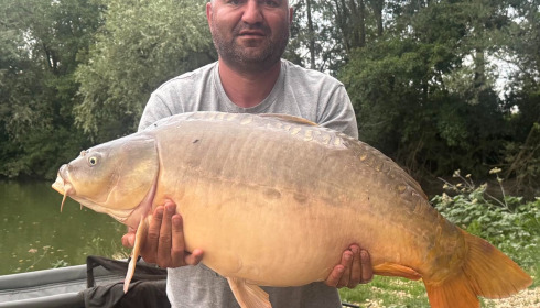 A carp from Zentelles, Dec 2025