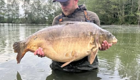 A carp from Zentelles, Dec 2025