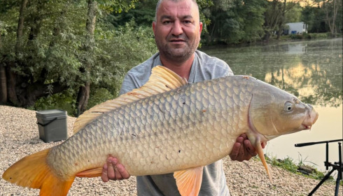 A carp from Zentelles, Dec 2025