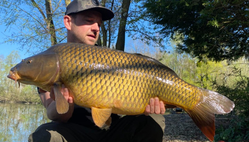 A carp from Zentelles, Dec 2025
