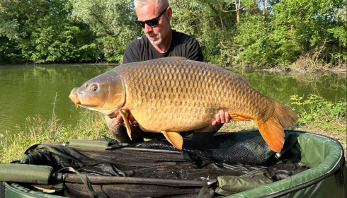 A carp from Zentelles, Dec 2025