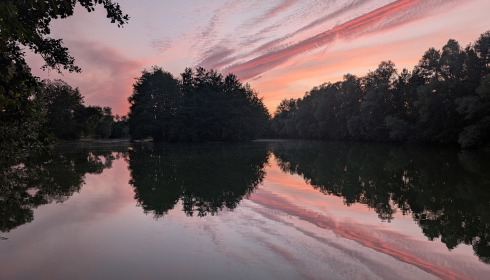 A carp from Zentelles, Jul 2026