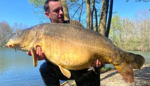 A carp from Zentelles, Dec 2025