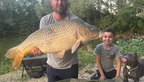 A carp from Zentelles, Dec 2025