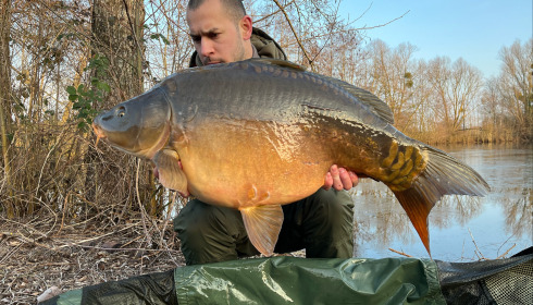 A carp from Zentelles, Dec 2025