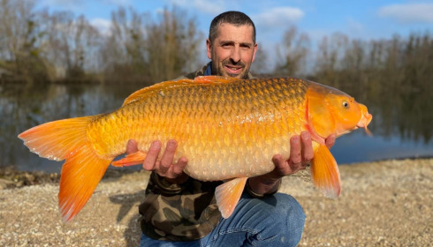 A carp from Zentelles, Dec 2025