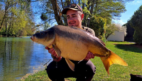 A carp from Zentelles, Dec 2025