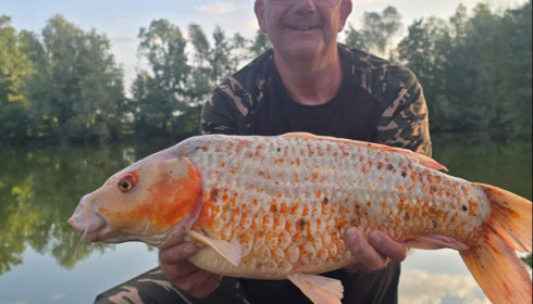 A carp from Zentelles, Dec 2025