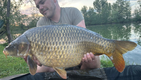 A carp from Zentelles, Dec 2025