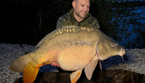 A carp from Zentelles, Dec 2025