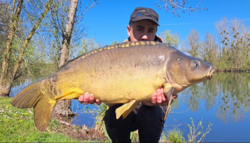 A carp from Zentelles, Dec 2025