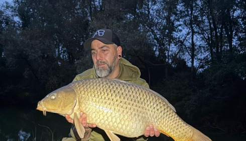 A carp from Zentelles, Dec 2025