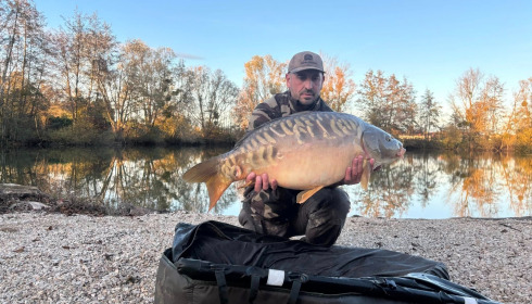 A carp from Zentelles, Dec 2025