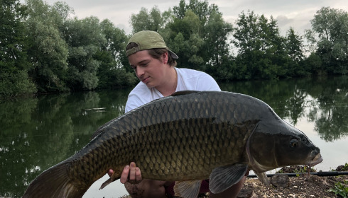A carp from Zentelles, Dec 2025