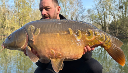 A carp from Zentelles, Mar 2026
