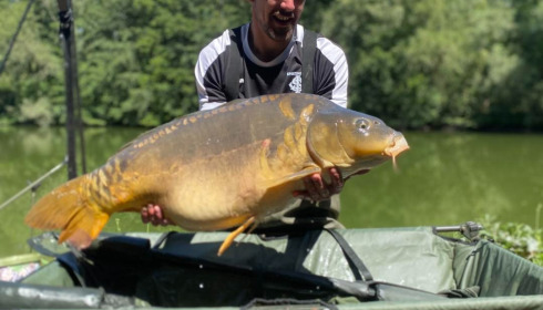 A carp from Zentelles, Dec 2025