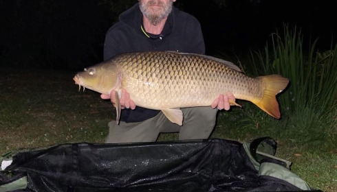 A carp from Zentelles, Dec 2025