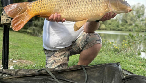A carp from Zentelles, Dec 2025